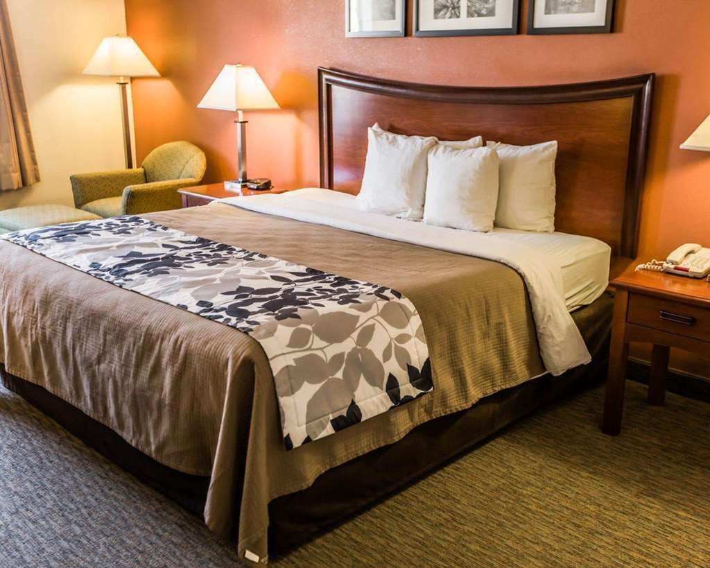 Sleep Inn & Suites Гоббс Номер фото